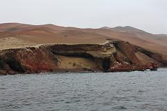 1122-per le isole Ballestas,19 luglio 2013
